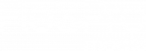 Logo FlexPro Meals white 1